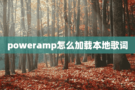 poweramp怎么加载本地歌词